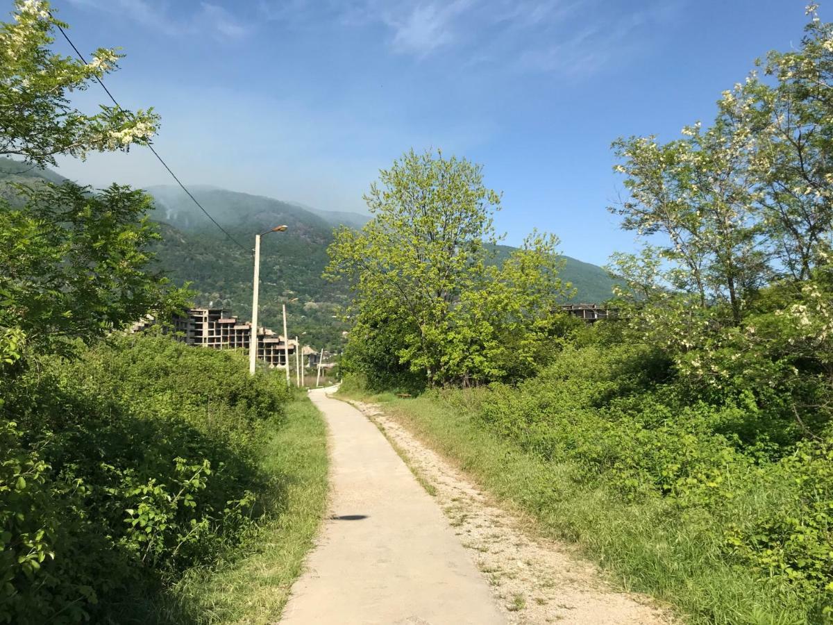Ainar Hotel Gagra Exterior foto